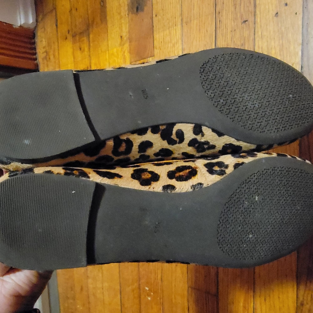 Tory Burch | Leopard Printed | Ballet Flats - image 3